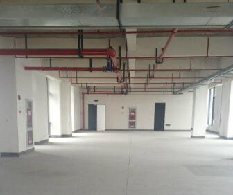 G1529 金山邊嘉興平湖新倉(cāng)鎮(zhèn)工業(yè)園區(qū)內(nèi)2700平一樓 5400平二樓廠(chǎng)房可辦環(huán)評(píng) 可做家具噴漆 整體出租