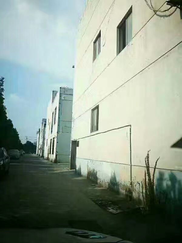 松江九亭 雙層廠房出售1895平/棟 單價8500到9000元