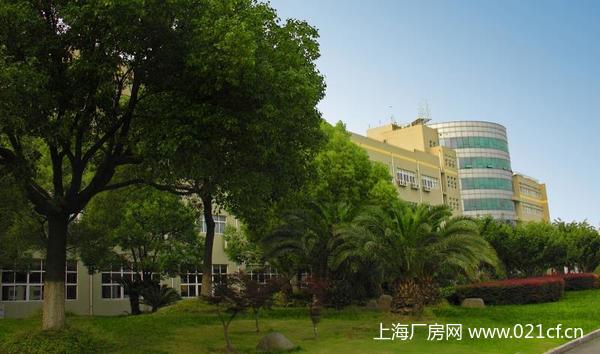 A8301 上海市奉賢區(qū)環(huán)城北路二樓 700平米廠房倉庫辦公研發(fā)樓出租