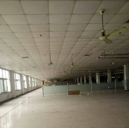 金山漕涇廠房倉(cāng)庫(kù)出租 1500平米主干道邊上廠房出租