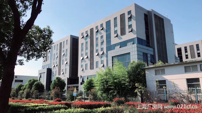 XA嘉定北開發(fā)區(qū)104板塊廠房辦公研發(fā)樓出租 適合辦公、生物科技、新材料、醫(yī)療器械、研發(fā)實驗室、電商、展廳等 