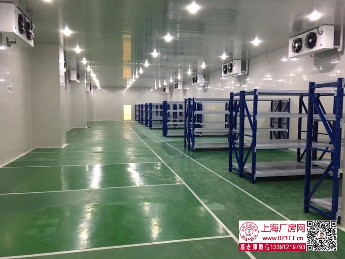 G1708 寶山區(qū)醫(yī)藥倉(cāng)庫(kù)出租 冷庫(kù)保溫庫(kù)出租 醫(yī)藥及醫(yī)療器械配送中心