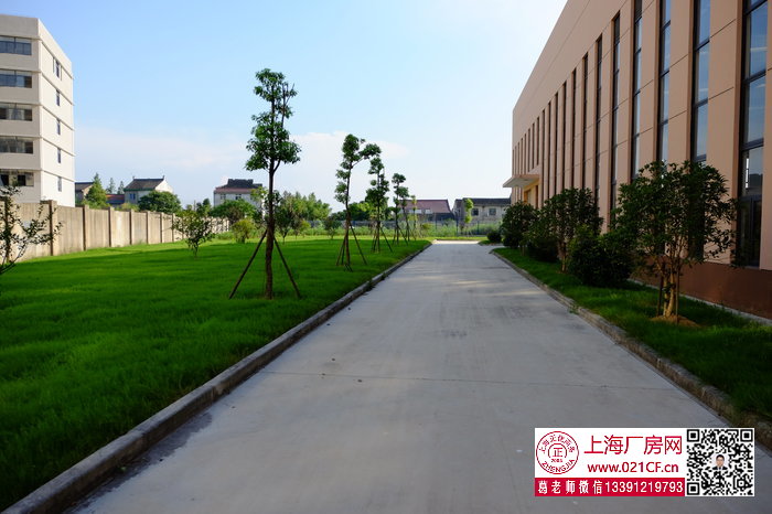 G1673 金山張堰工業(yè)園區(qū)單層多層廠房倉庫出租  可分割出租