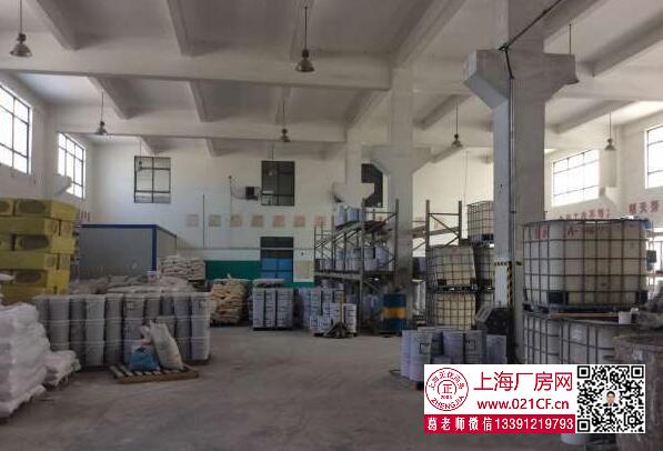 G1717浦東六灶 4800平獨棟廠房帶行車廠房倉庫出租 大房東直租 空地大