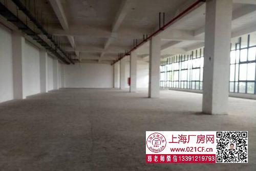 G1729 浦東 航頭鎮(zhèn) 8000平方米廠房倉庫出租 100平起租 適合倉儲電商 價格優(yōu)惠