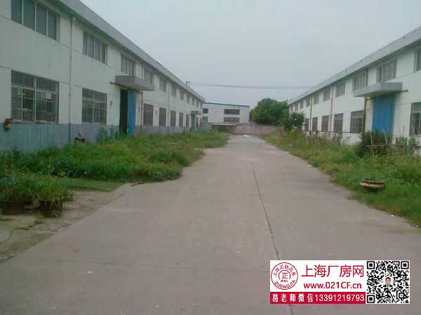 G1756 金山區(qū)漕涇鎮(zhèn)亭衛(wèi)公路單層廠房倉(cāng)庫(kù)出租 可分租 0.65元起  丙類消防  104地塊可環(huán)評(píng)