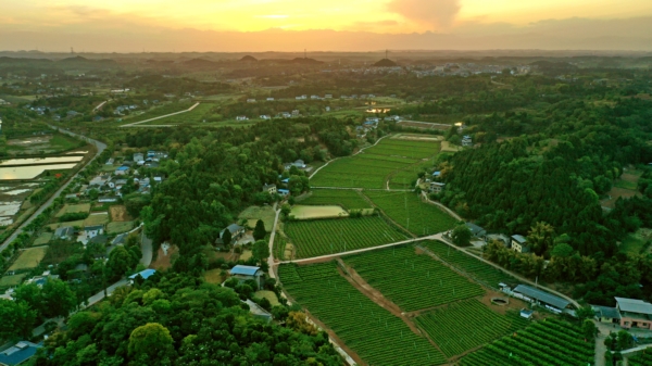 綿陽涪城：打造一流發(fā)展環(huán)境提升縣域經(jīng)濟“硬實力”